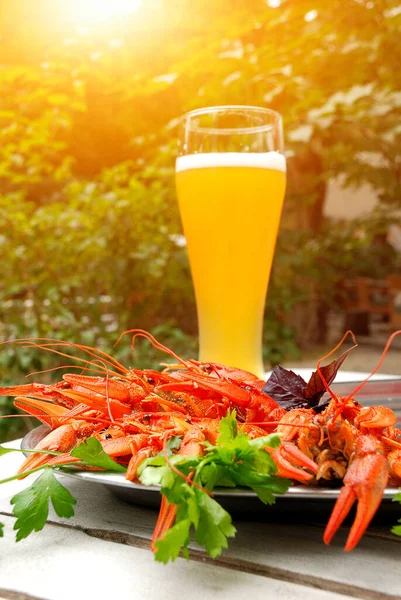 Lobsters Glass Beer Sunny Outdoor Cafe — Stock Photo, Image