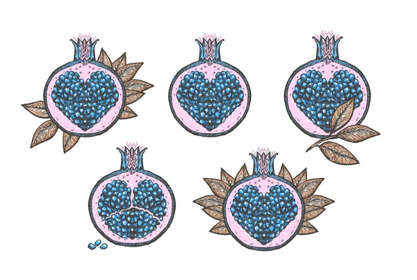 Fantasy Gránátalma Grafikus Vektor Illusztráció Kézzel Rajzolt Vázlatok Gránátalma Szimbólumok — Stock Vector