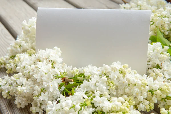 White Paper Card Closeup White Lilac Flowers Wooden Backdrop — Fotografia de Stock