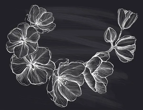 Kunst Grafisches Florales Element Kirschblüten Kreidetafel Vektorzeichnung — Stockvektor
