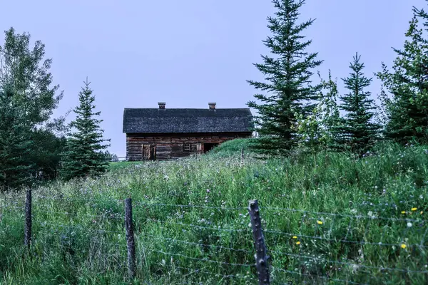カナダ アルバータ 2023 アルバータのウクライナ文化遺産村 丘の上に立っている孤独な家 — ストック写真