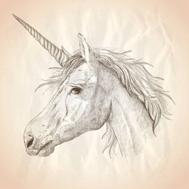 Tek boynuzlu at profil portresi grafik vektör çizimi, bir kağıda klasik el çizimi çizimi.