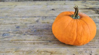 Sonbahar Arkaplanı. Ahşap arka planda doğal sonbahar sonbahar manzaralı balkabağı. Cadılar Bayramı partisi. Şükran Günü