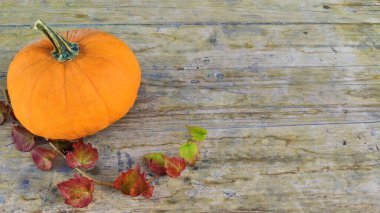 Ahşap arka planda doğal sonbahar sonbahar manzaralı balkabağı. Mevsimlerin değişmesi, olgun organik gıda konsepti. Cadılar Bayramı partisi. Şükran Günü