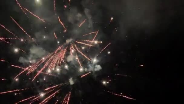 4K五彩缤纷的烟火在夜空中 烟火表演 新年的 夜色背景垂直镜头 — 图库视频影像