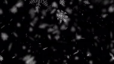 Soyut Noel Kar Taneleri arkaplanı. Düşen Noel kar tanecikleri siyah renge düşer. Kar taneleri dekorasyon efekti