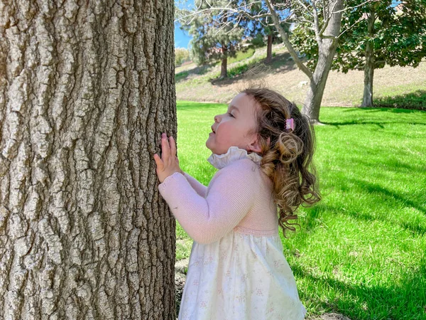Menina Bonito Está Brincando Redor Grama Árvores Parque — Fotografia de Stock