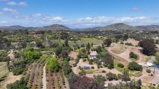 Vue Aérienne Sur Paysage Verdoyant Vallée Rancho Santa San Diego — Video