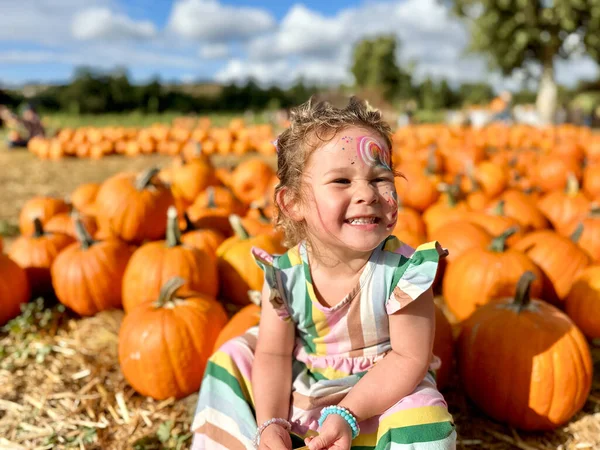 Little girl picking pumpkins on Halloween pumpkin patch. Child playing in field of squash, Thanksgiving holiday season.