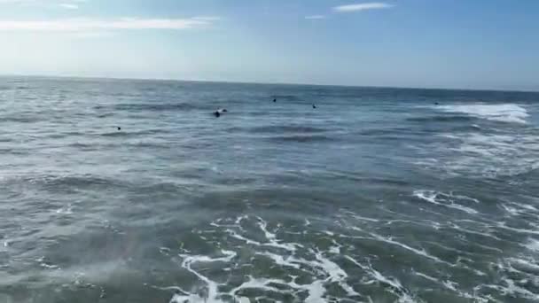 Widok Lotu Ptaka Del Mar Shores Klify Przybrzeżne Kalifornii Dom — Wideo stockowe