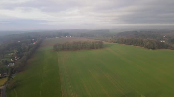 Veduta Aerea Della Foresta Dei Terreni Agricoli Durante Mattina Presto — Video Stock