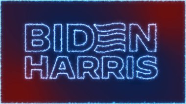 Mavi Biden Harris seçimini 2024 'te, San Diego, California, ABD, 2 Ocak 2024' te