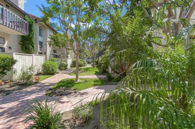 Beton yolu olan apartmanlar ve Carlsbad, San Diego, ABD 'de ağaçları olan bahçeler. 26 Haziran 2025