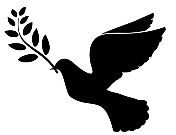 Illustration Vectorielle Une Colombe Avec Une Branche Olivier Symbole Pêche — Image vectorielle