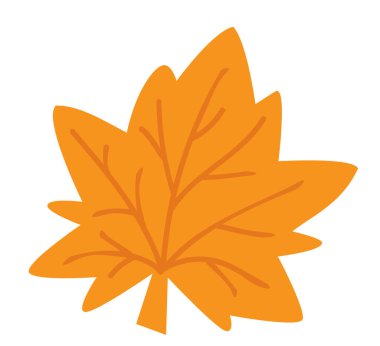 Bir akçaağaç yaprağının vektör çizimi.