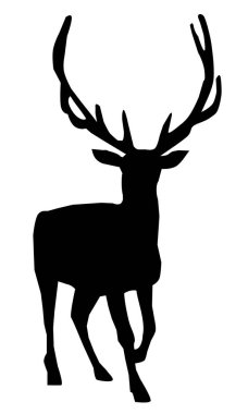 vector illustration of a deer, elk silhouette.  clipart