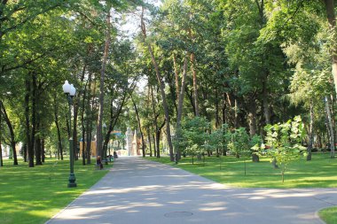 Pedestrian alley in the city park. Green trees. Gorky Central Park. Kharkov, Ukraine