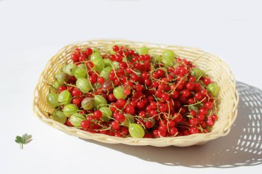 Kırmızı frenk üzümü, bektaşi üzümü sepette beyaz arka planda.