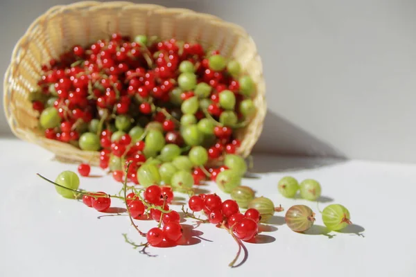 Red Currant Gooseberry Basket White Background — Stock Photo, Image