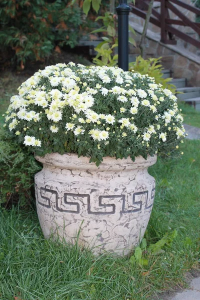 Greek vase. Flower vase in the city. Urban architecture. Lawn with ancient vase.Ukraina, Sumy