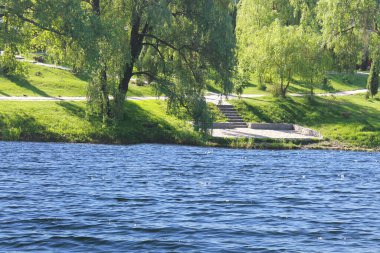 Yazın Ukrayna Psel nehrinin yanında resmedildi. (Ukrayna)