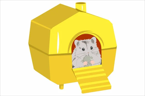 Destul Hamster Casa Galbenă — Vector de stoc