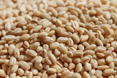 kurutulmuş arpa yuvarlanmadan closeup düz gıda arka plan