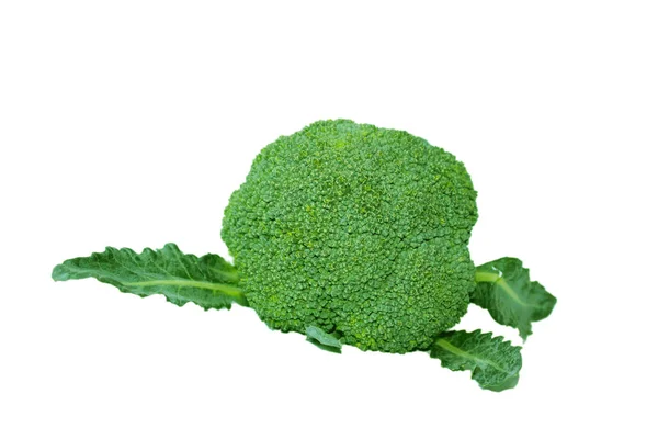 Broccoli Isolerad Vit Bakgrund — Stockfoto