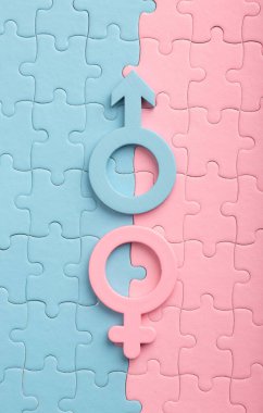 Erkeksi ve kadınsı bulmacalarda yalan söyler. Seks kavramı, çift, aile.