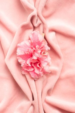 Pink soft tissue in the form of female genital organs, vulva and labia, vagina concept with delicate flower. High quality photo clipart