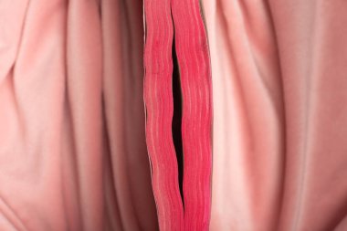 The concept of the reproductive organs of a woman, the vagina in the form of an open book. High quality photo