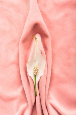 Pink soft tissue in the form of female genital organs, vulva and labia, vagina concept with delicate flower. High quality photo clipart