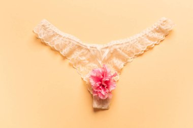 The concept of the reproductive organs of a woman, the vagina in the form of panties. High quality photo