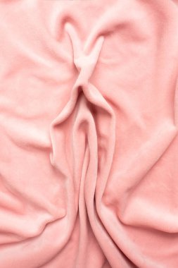 Pink soft fabric shaped as female genital organs, vulva and labia, vagina concept. High quality photo