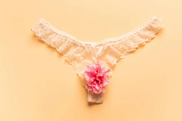 Concept Reproductive Organs Woman Vagina Form Panties High Quality Photo — Fotografie, imagine de stoc