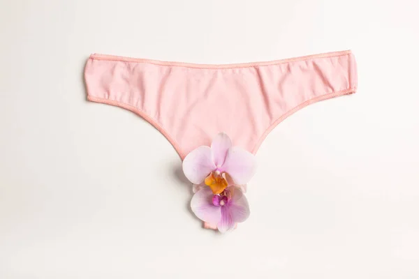 stock image The concept of the reproductive organs of a woman, the vagina in the form of panties. High quality photo