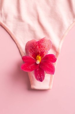 The concept of the reproductive organs of a woman, the vagina in the form of panties. High quality photo