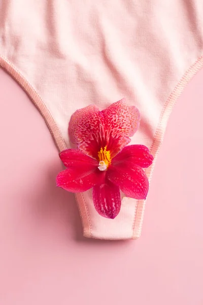 Concept Reproductive Organs Woman Vagina Form Panties High Quality Photo — Stok fotoğraf
