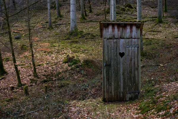 Stary Domek Toalecie Pulchna Toaleta Drewniany Domek — Zdjęcie stockowe
