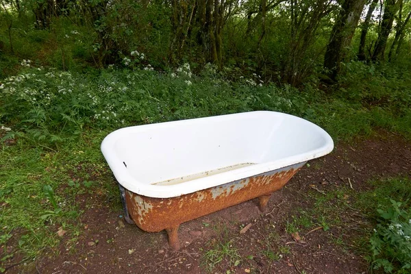 Uma Velha Banheira Cheia Água Escura Campo — Fotografia de Stock