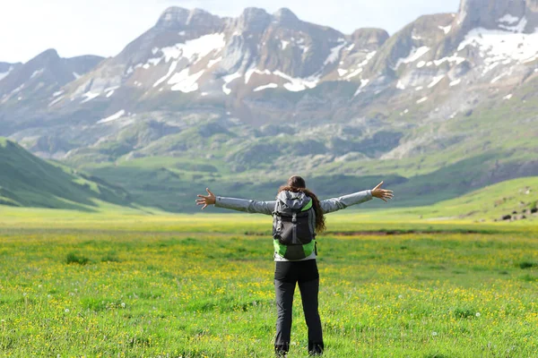 Rückansicht Eines Wanderers Der Urlaub Der Natur Einer Hochgebirgslandschaft Feiert — Stockfoto