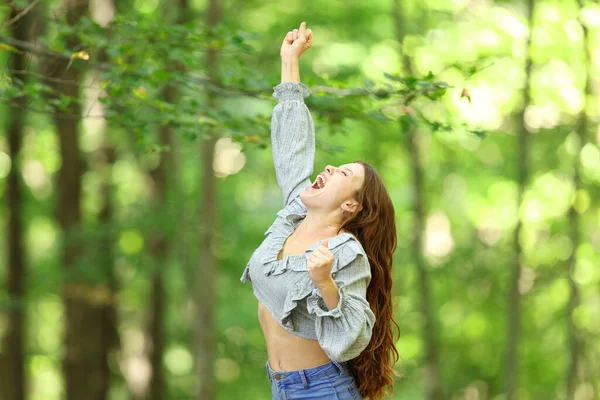 Mujer Eufórica Celebrando Vacaciones Bosque Levantando Brazo —  Fotos de Stock