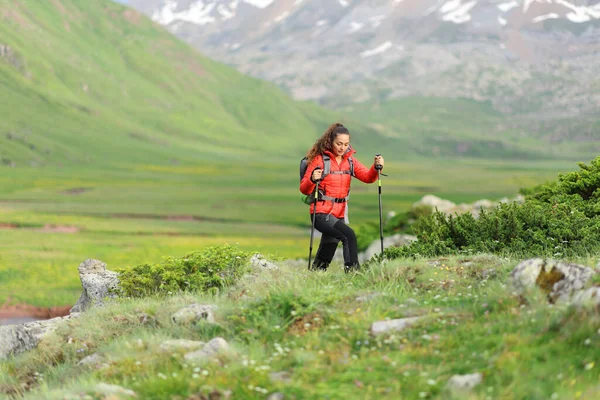 Kırmızılı Yürüyüşçü Yeşil Bir Dağ Tarlasında Sırık Kullanıyor — Stok fotoğraf