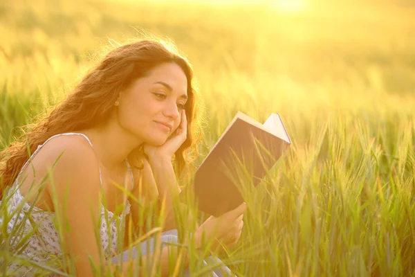 Kobieta Czytająca Książkę Zachodzie Słońca Polu Pszenicy — Zdjęcie stockowe
