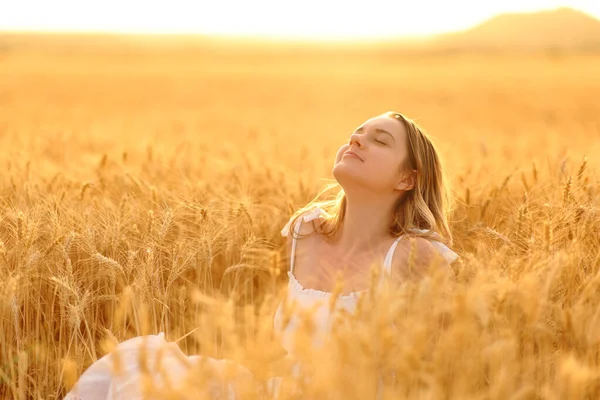 Woman breathing fresh air sitting in a golden wheat field