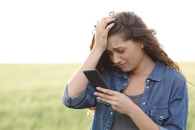 Sad woman checking smart phone standing in a wheat field