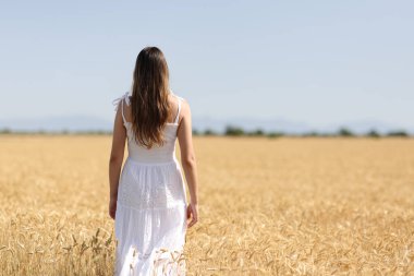 Back view of a woman in white dress walks in a field