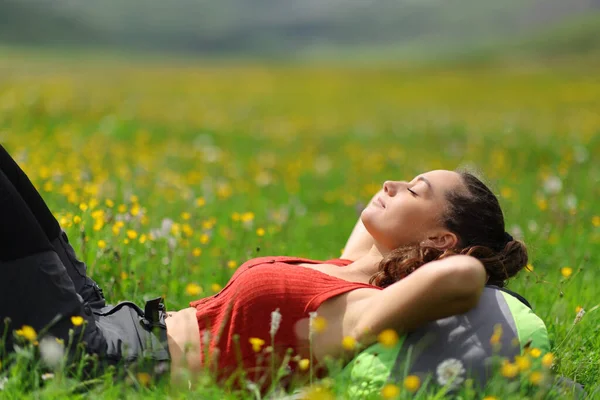 Портрет Бічного Вигляду Рюкзака Який Розслабляється Лежить Траві Природі — стокове фото
