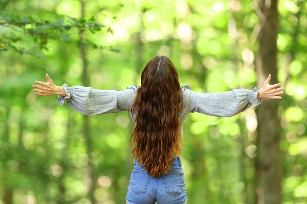 在森林里 一个女人张开双臂庆祝的倒影 — 图库照片