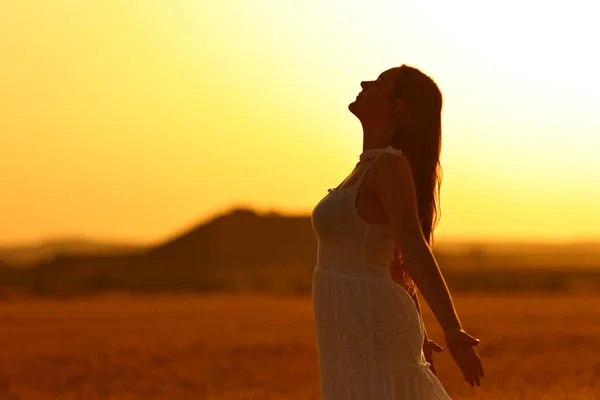 日落时分一个女人在麦田里呼吸新鲜空气的轮廓 — 图库照片